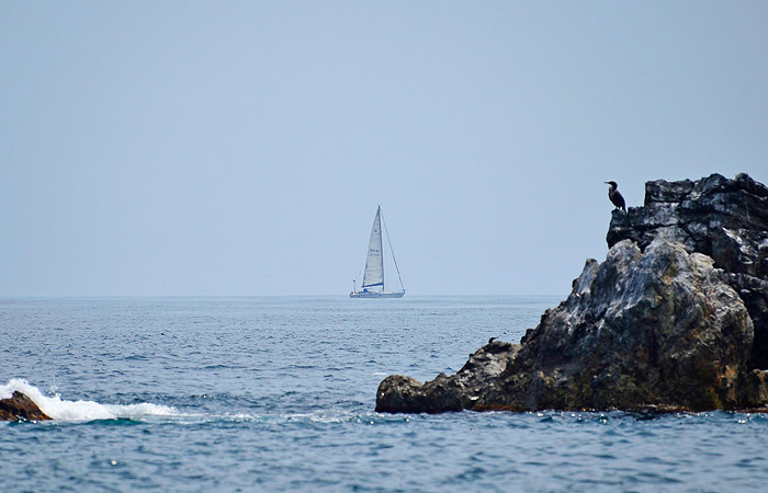 Задержанную в КНДР российскую яхту доставили в порт Кимчхак