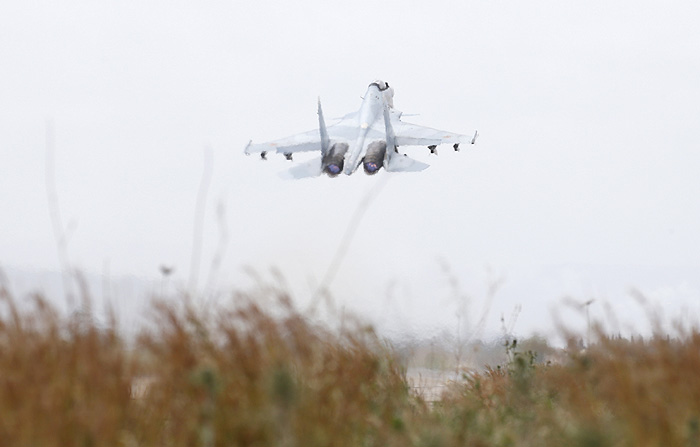 В Совфеде допустили удары российских ВКС по боевикам в Алеппо