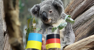 Фотохроника 10 июня