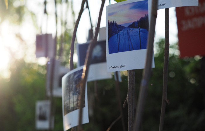 "Оазис авторского кино"