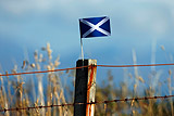 В Шотландии заявили о праве не признавать итоги референдума 2014 года после Brexit