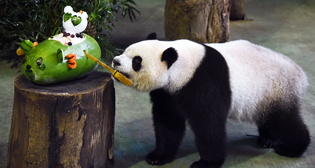 Фотохроника 6 июля