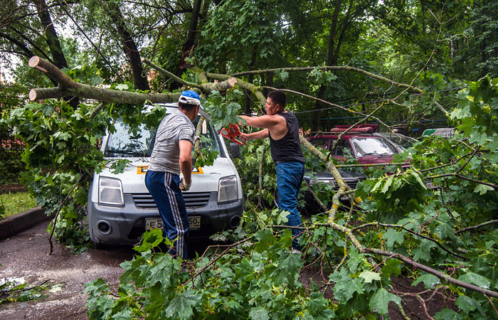 Ночной ураган повалил в Москве более тысячи деревьев