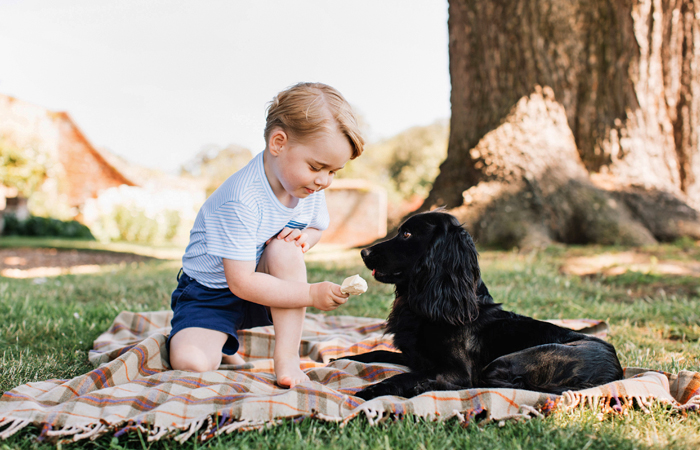 Опубликованы новые снимки правнука Елизаветы II по случаю его дня рождения
