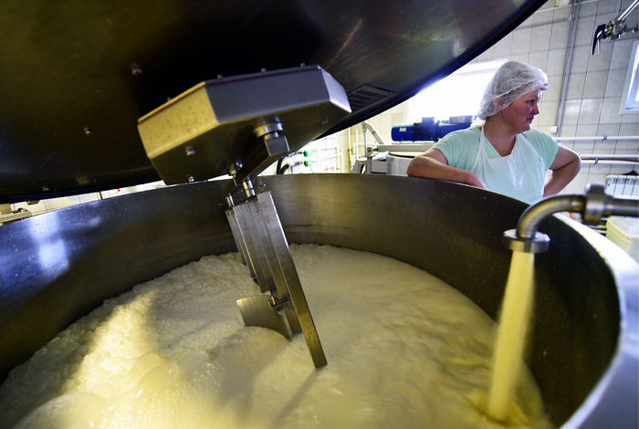 Программу поддержки малого бизнеса предложили сократить втрое