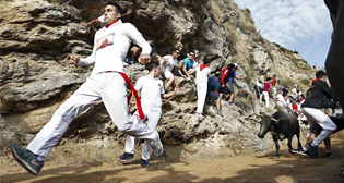 Фотохроника 17 августа