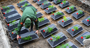 Фотохроника 18 августа