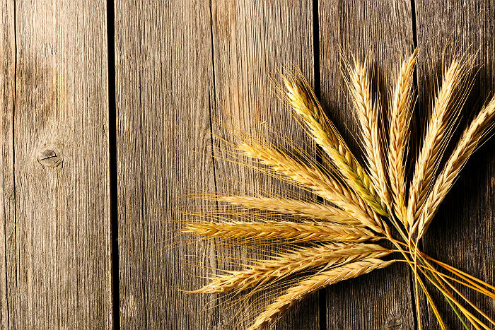 Экспортная пошлина на пшеницу отменена на два года