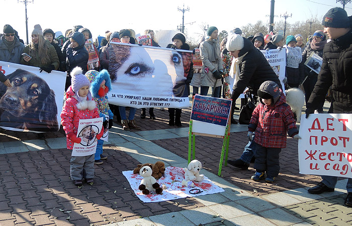 В Хабаровске устроили пикет с требованием наказать издевавшихся над животными девушек