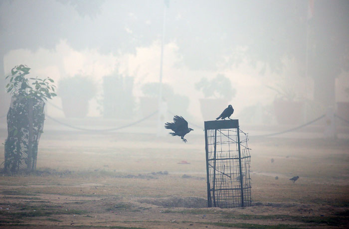 В Дели зафиксирован экстремальный уровень загрязнения воздуха