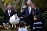 Обама в последний раз помиловал индейку накануне Дня благодарения