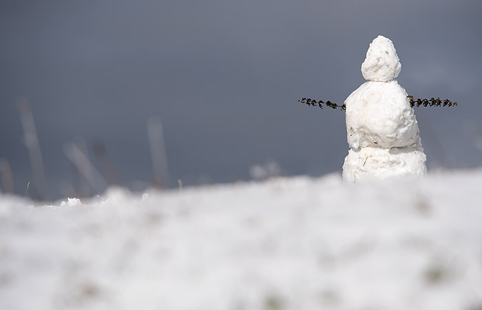Москвичей предупредили о крепких морозах на Рождество