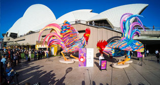 Фотохроника 27 января