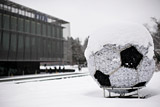Россия опустилась на 61-е место рейтинга ФИФА