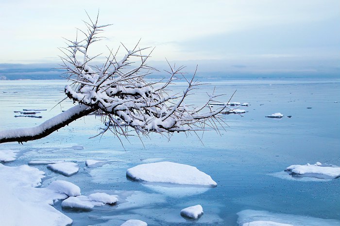 Всех рыбаков сняли с отколовшейся в Охотском море льдины