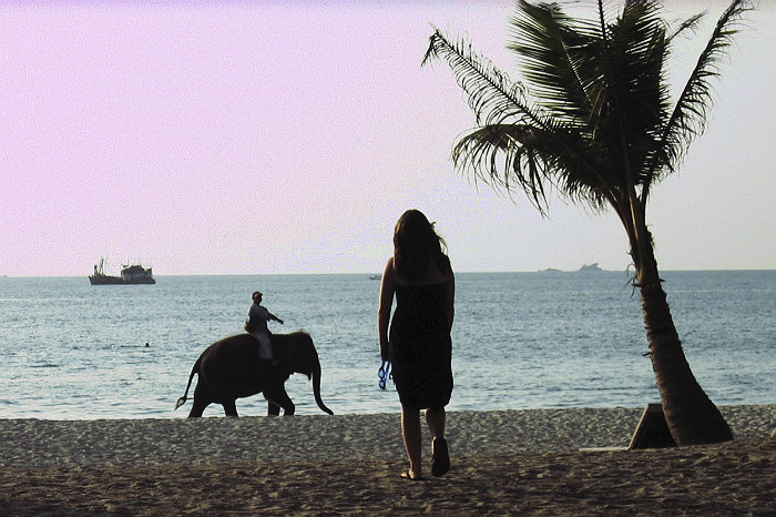 Часть задержанных в Шри-Ланке россиян обвинили в нарушении правил пребывания