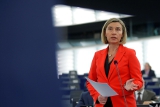 Могерини представила в Страсбурге стратегию Евросоюза для Сирии