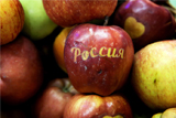 В Польше рассказали о восстановлении экспорта яблок в РФ благодаря Белоруссии