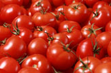 "Коммерсант" узнал о схеме закупок запрещенных турецких помидоров