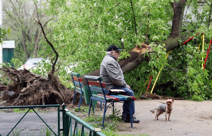В результате урагана в Москве серьезно пострадали 70 человек