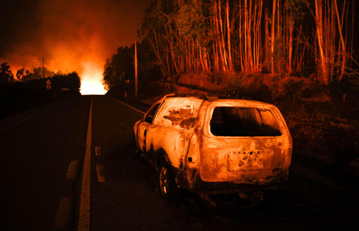 Почти 20 человек погибли из-за лесных пожаров в Португалии