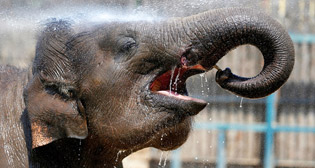 Фотохроника 28 июня