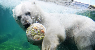 Фотохроника 5 июля