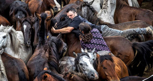 Фотохроника 10 июля