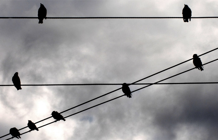 "Укрэнерго" полностью лишило электроснабжения неконтролируемый Донбасс