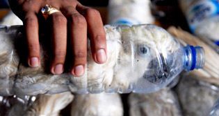 Экзотическая контрабанда