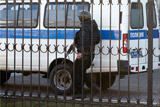 Стрелявших по конвоирам пятерых бандитов нейтрализовали в Мособлсуде