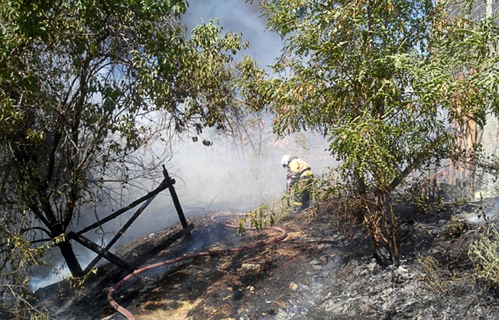 Пожар в центре Ростова-на-Дону распространился на 25 жилых домов