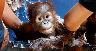 Фотохроника 13 сентября