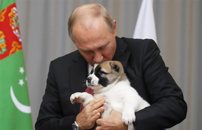 Лидер Туркмении подарил Путину щенка алабая по кличке Верный