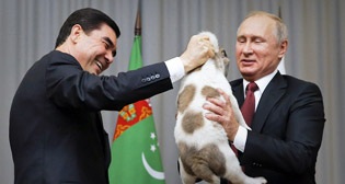 Фотохроника 11 октября