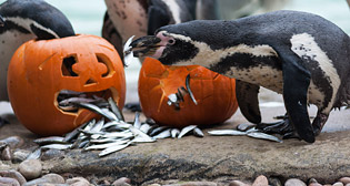 Лучшие фото недели