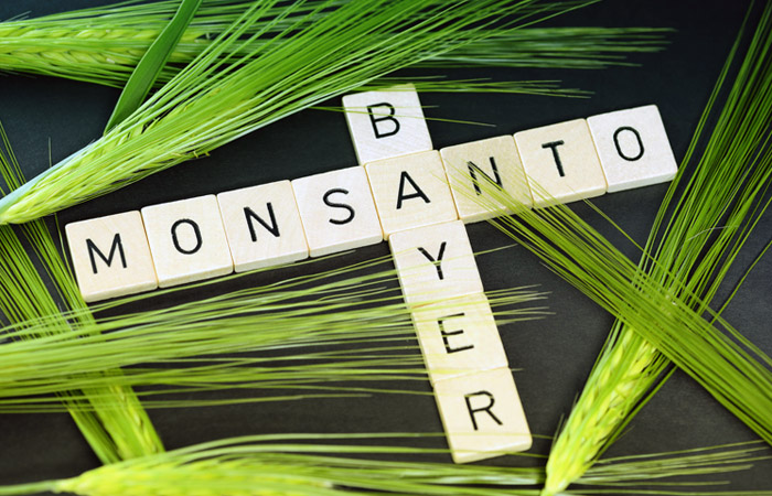 ФАС выдвинула условия согласования рекордной сделки между Bayer и Monsanto