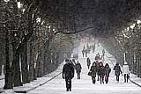 Синоптики пообещали москвичам на всю новую неделю погоду около ноля