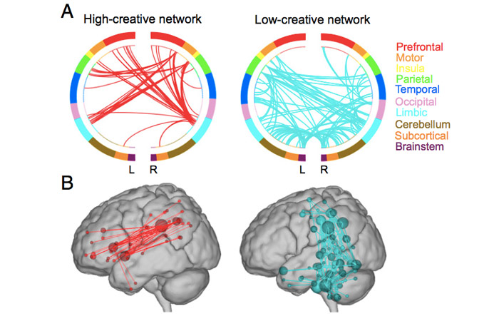   Изображение связей головного мозга, отвечающих за высокие (слева) и низкие (справа) показатели креативности 