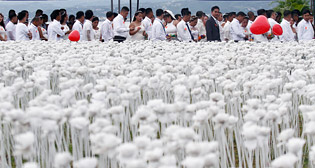 Фотохроника 14 февраля