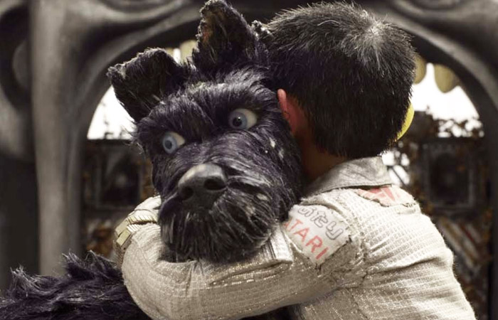 "Остров псов": здесь пропадают такие мальчонки