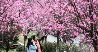 Фотохроника 7 марта