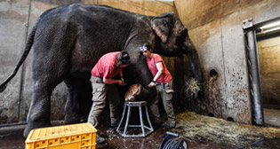 Фотохроника 21 марта