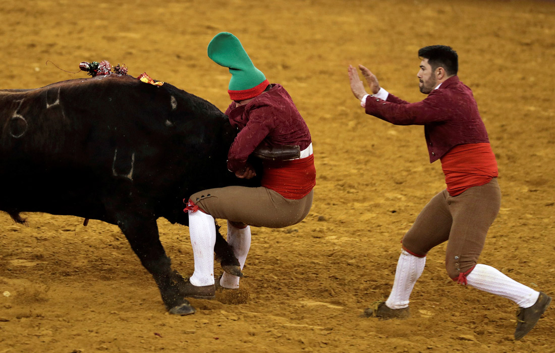 Команда форкадос во время боя с быком на арене Campo Pequeno в Лиссабоне