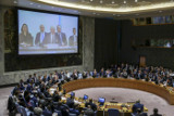 Российский проект резолюции в поддержку отправки миссии ОЗХО в сирийскую Думу не принят