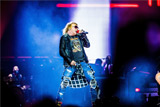 Guns N'Roses для выступления в Москве запросили розы, шампанское Cristal и мармеладных мишек