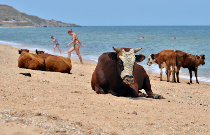 США не отменят связанные с Крымом антироссийские санкции