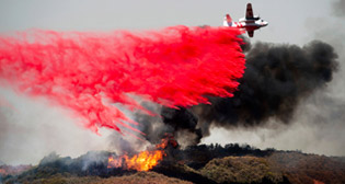 Фотохроника 31 июля