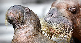 Фотохроника 3 августа