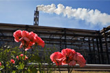 Титановый завод в Крыму приостановит работу из-за кислотных выбросов
